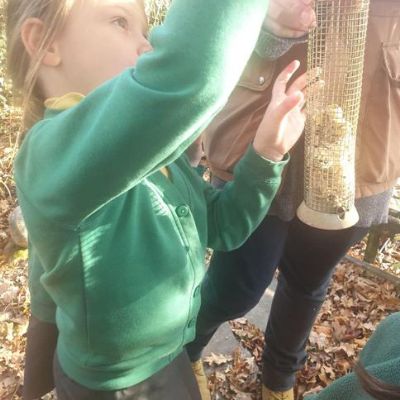 Fern's outdoor learning